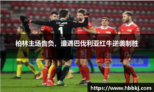 bsports官网入口