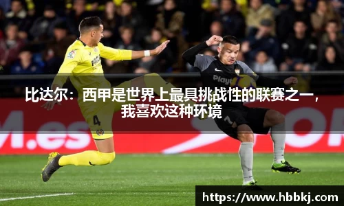 bsports官网入口