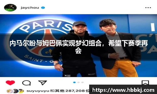 bsports登录入口