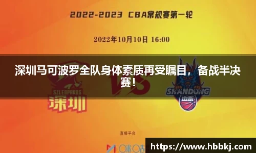 bsports登录入口