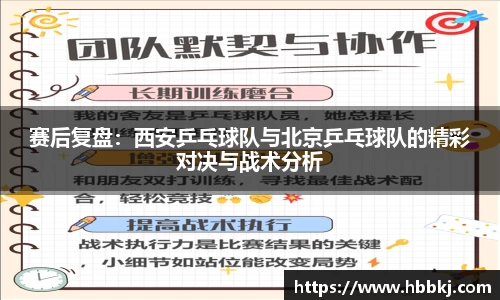 bsports官网入口