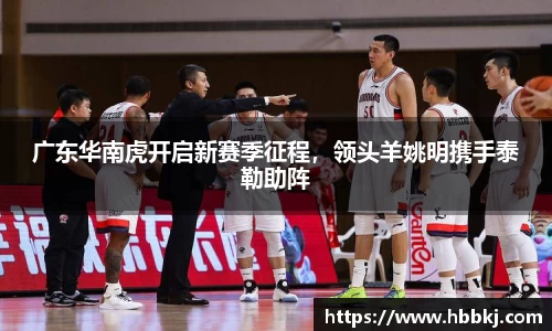 bsports登录入口