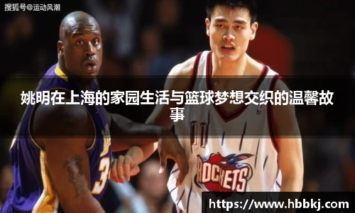 bsports登录入口
