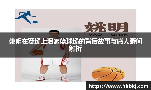 Bsports网页版