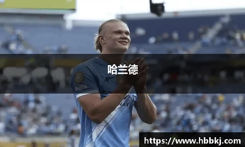 哈兰德