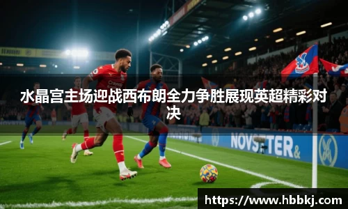 bsports登录入口