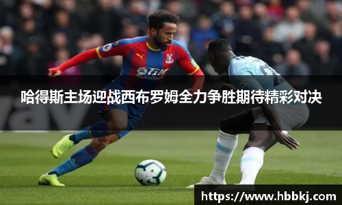 bsports登录入口